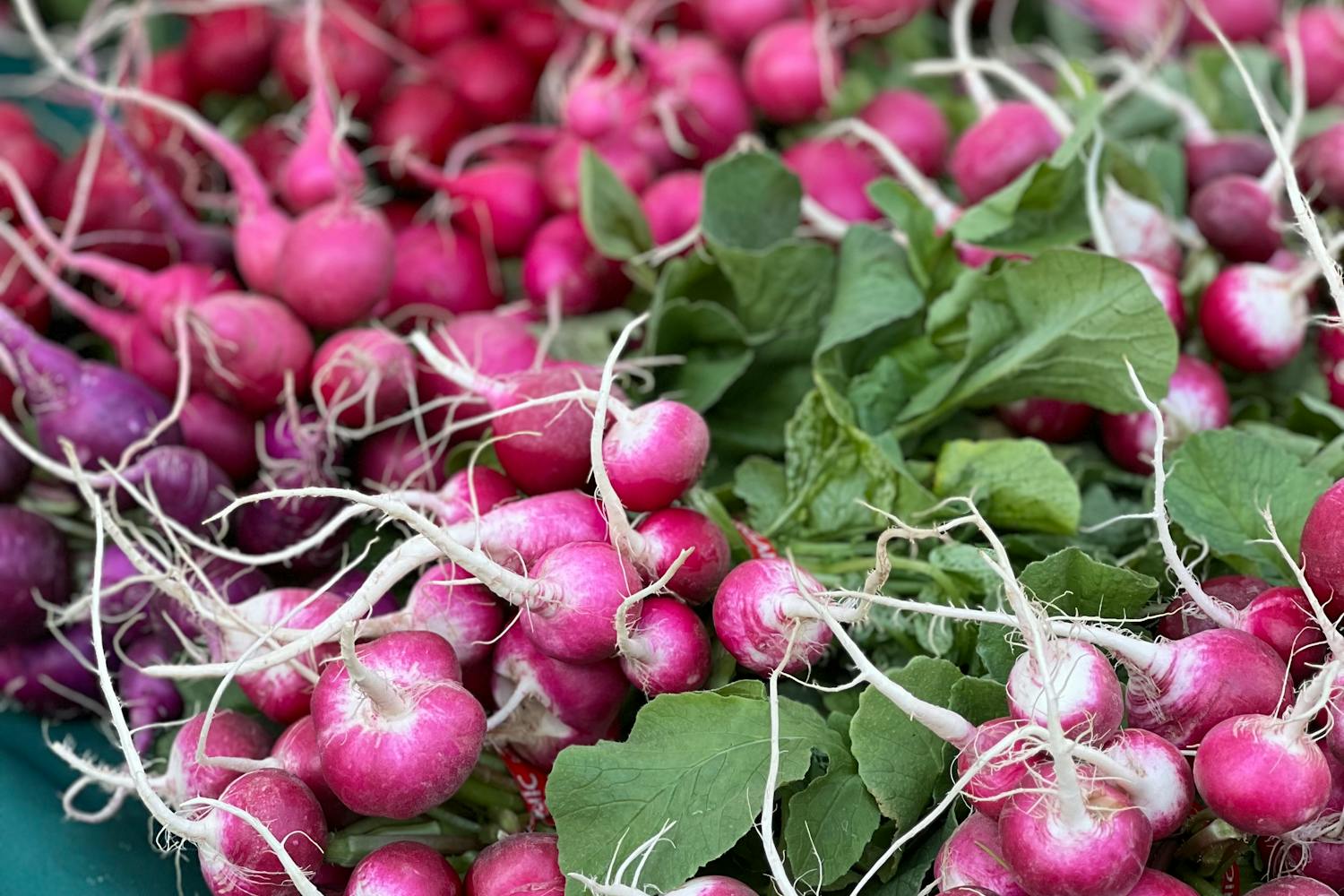 Як швидко виростити велику та смачну редиску в теплиці, не чекаючи весни